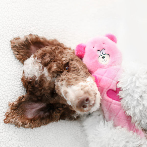 Jigglerz – Pink Bear Zippy Paws