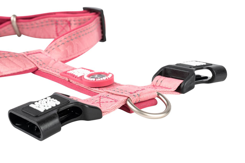 Comfort Smart ID H-Harnas van Max & Molly Rose